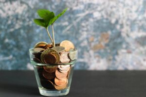 A sprout grows from a pot of coins