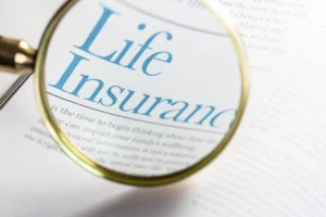 Life Insurance Visual 4